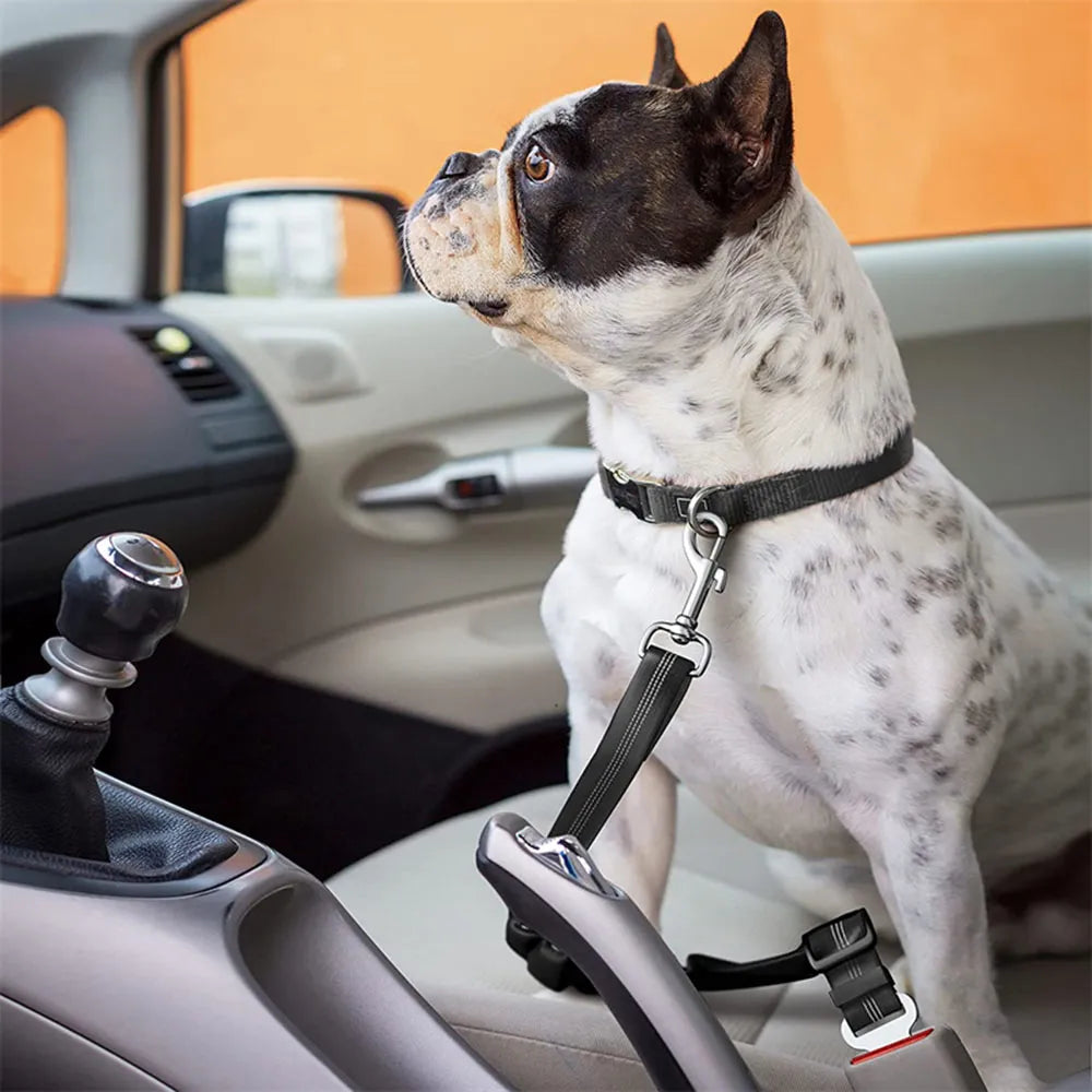 Dog Seat Belt - Autaurus