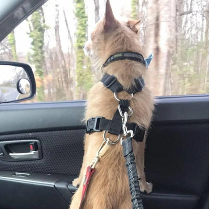 Dog Seat Belt - Autaurus